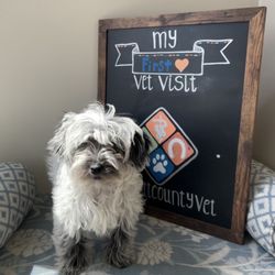 Scott County Veterinary Clinic