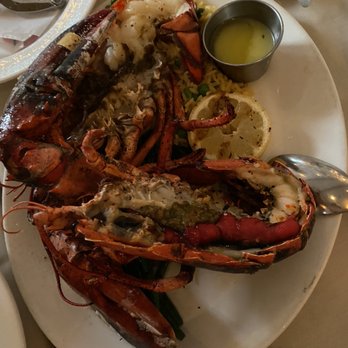 VIVO! Restaurant & Catering - Mediterranean Near Me - Bayside, New York