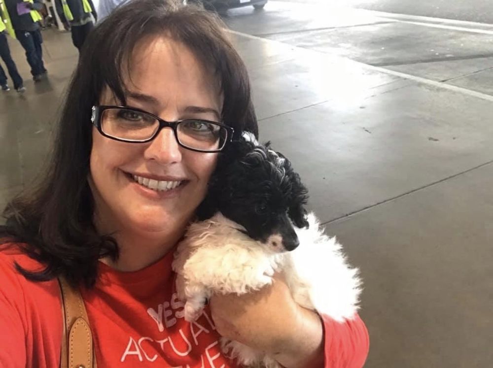 PERFECT PEKS KENNEL Updated August 2024 11 Photos & 11 Reviews