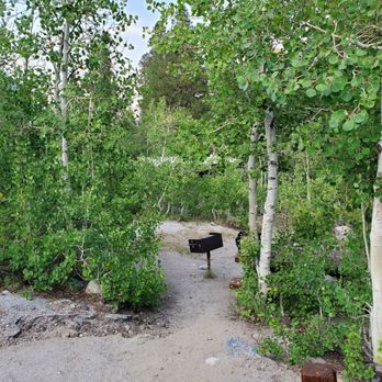 East Fork Campgrounds - Campsite 30. Some closer to the road have less obstructed view. - Campgrounds Near Me - Mammoth Lakes, California East Fork Campgrounds - Campsite 30. Some closer to the road have less obstructed view. - Campgrounds Near Me - Mammoth Lakes, California