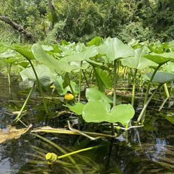 Get Up And Go Kayaking - Rock Springs