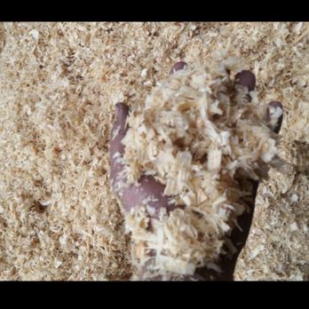 NW Dry Shavings - Dry Shavings for horse bedding. - Local Services Near Me NW Dry Shavings - Dry Shavings for horse bedding. - Local Services Near Me