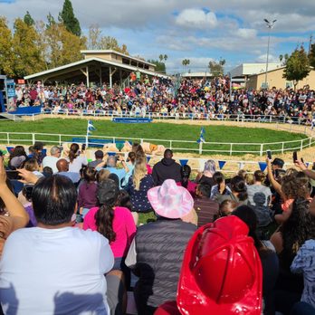 Alameda County Fair - Crowds ready to see the piggies - 10/2021 - Festivals Near Me - Pleasanton, California