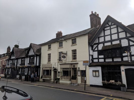 The Opposition by null