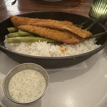 Rocky River Tap and Table - Perch dinner with rice, asparagus and a dill sauce. This was excellent. - Bars Near Me - Granger, Indiana