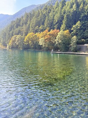 Fairholme Campground by null