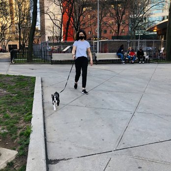Raise the Woof - Malia's magic - Pet Training Near Me Raise the Woof - Malia's magic - Pet Training Near Me