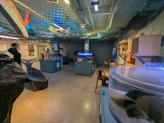 Randall Museum by null