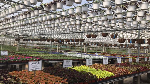Gasko S Family Farms 112 Federal Rd Monroe Township Nj Federal Rd Monroe Township Nj Farms