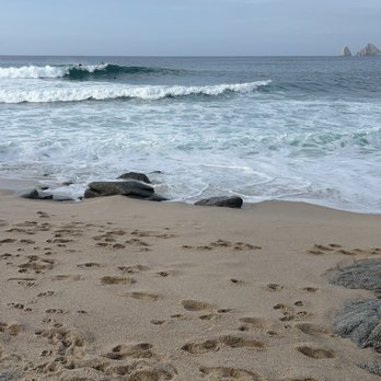 The Cape Hotel - Beach View - Hotels Near Me - Cabo San Lucas, BCS The Cape Hotel - Beach View - Hotels Near Me - Cabo San Lucas, BCS