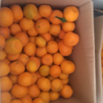 Homeless Prenatal Program - These oranges are freshly ticked bright colors. - Community Service/Non-Profit Near Me - San Francisco, California