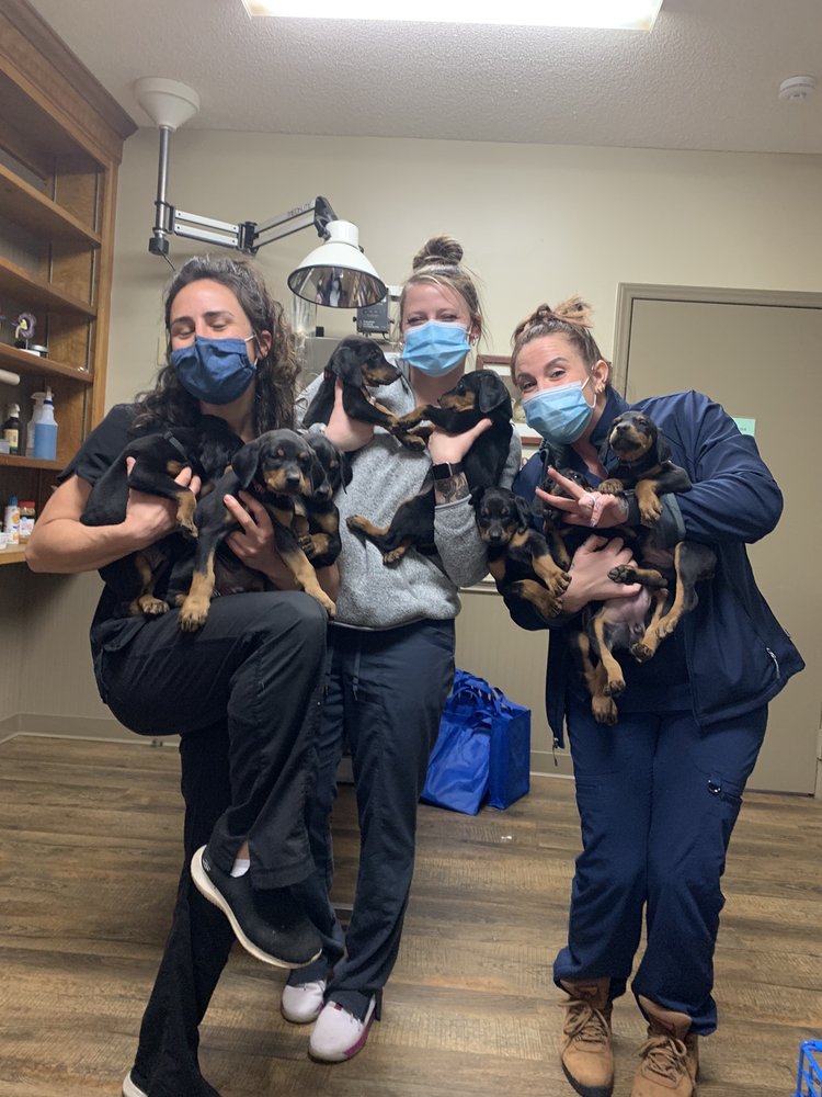 GREENOCK FARM VETERINARY HOSPITAL PA Updated August 2024 10 Reviews