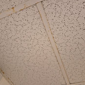 Econo Lodge Inn & Suites - Rust on ceiling in bathroom - Hotels Near Me - Brookings, South Dakota Econo Lodge Inn & Suites - Rust on ceiling in bathroom - Hotels Near Me - Brookings, South Dakota