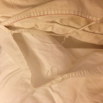 Marriott Savannah Riverfront - Ripped duvet. - Hotels Near Me - Savannah, Georgia