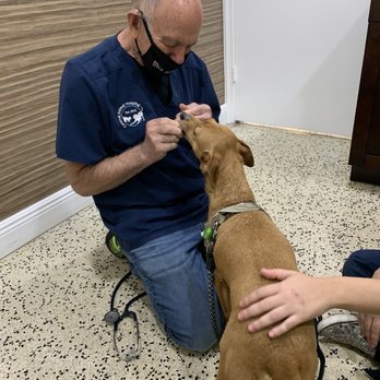 Central Animal Hospital - Bori and Dr Stetzer - Veterinarians Near Me - Boca Raton, Florida Central Animal Hospital - Bori and Dr Stetzer - Veterinarians Near Me - Boca Raton, Florida