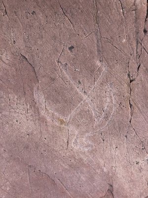 Jeffers Petroglyphs by null