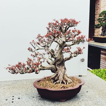 Chicago Botanic Garden - Botanical Gardens Near Me - Glencoe, Illinois