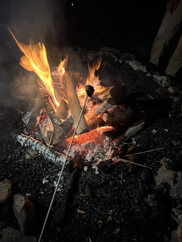 JCC Camps At Medford Logo