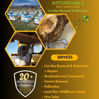 Affordable Bee Services - Pest Control Near Me - Riverside, California Affordable Bee Services - Pest Control Near Me - Riverside, California