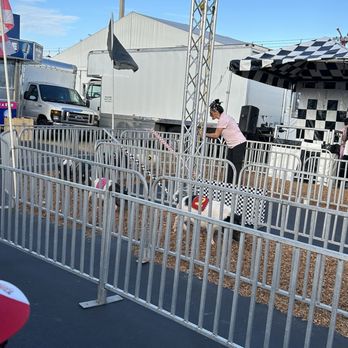 Florida State Fairgrounds - Festivals Near Me - Tampa, Florida Florida State Fairgrounds - Festivals Near Me - Tampa, Florida