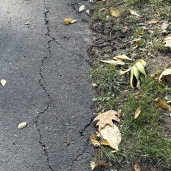 Preston’s Tree & Landscape Service - Heavy truck tire marks and associated cracks where driven off driveway