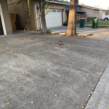 Larry's Tree Care - All cleaned up - Tree Services Near Me - Stockton, California