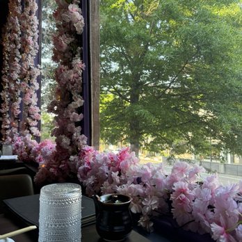 Takara 14 - Cute restaurant! - Japanese Near Me - Washington, DC, District of Columbia