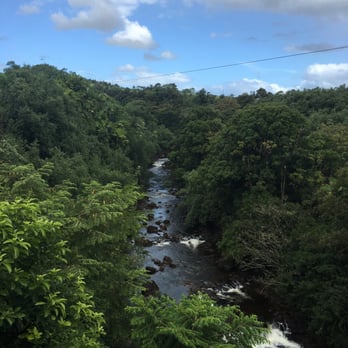 The Umauma Experience - Ziplining Near Me - Hakalau, Hawaii