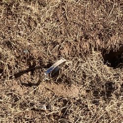 Moon Valley Plumbing