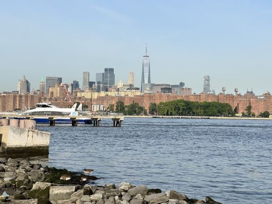 Marsha P. Johnson State Park by null