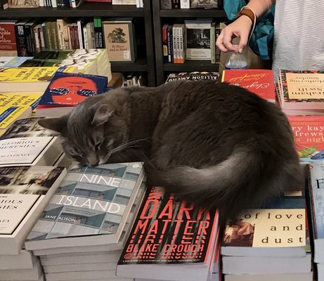 E Shaver Booksellers by null