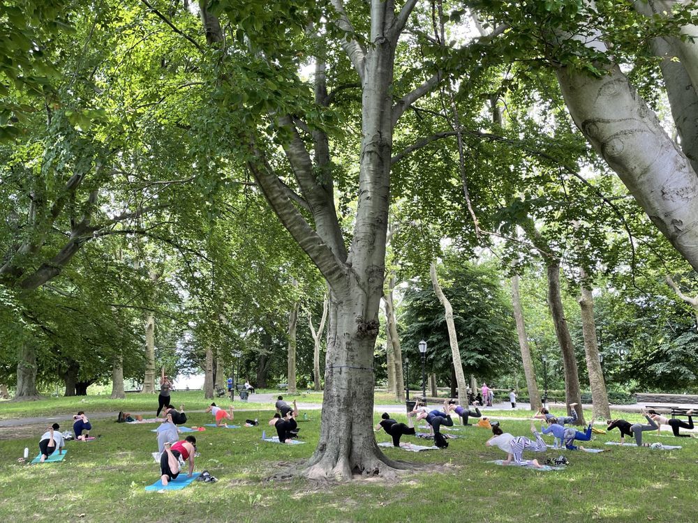 OWL’S HEAD YOGA Updated September 2024 24 Photos & 17 Reviews 278