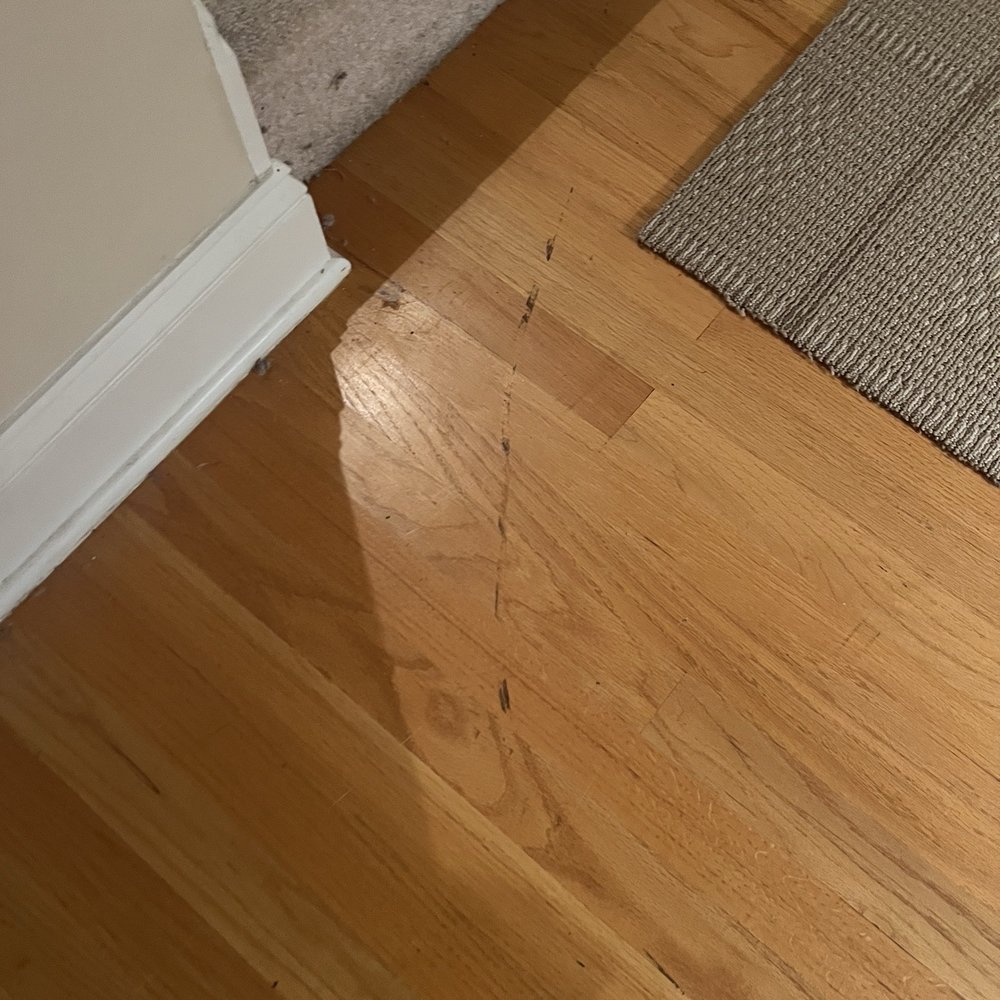 Spot Off Cleaning And Detailing Services - Damage to hardwood floors - Carpet Cleaning Near Me Spot Off Cleaning And Detailing Services - Damage to hardwood floors - Carpet Cleaning Near Me