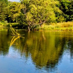 Toledo Botanical Garden