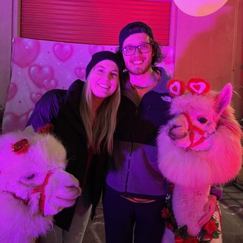 PDX Night Market - Festivals Near Me - Portland, Oregon PDX Night Market - Festivals Near Me - Portland, Oregon