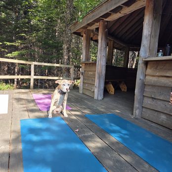 Kids Studio Play - Doggo Yoga!! - Indoor Playcenter Near Me - Lincoln, New Hampshire