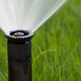 Photo of Corrales Gardening Services
