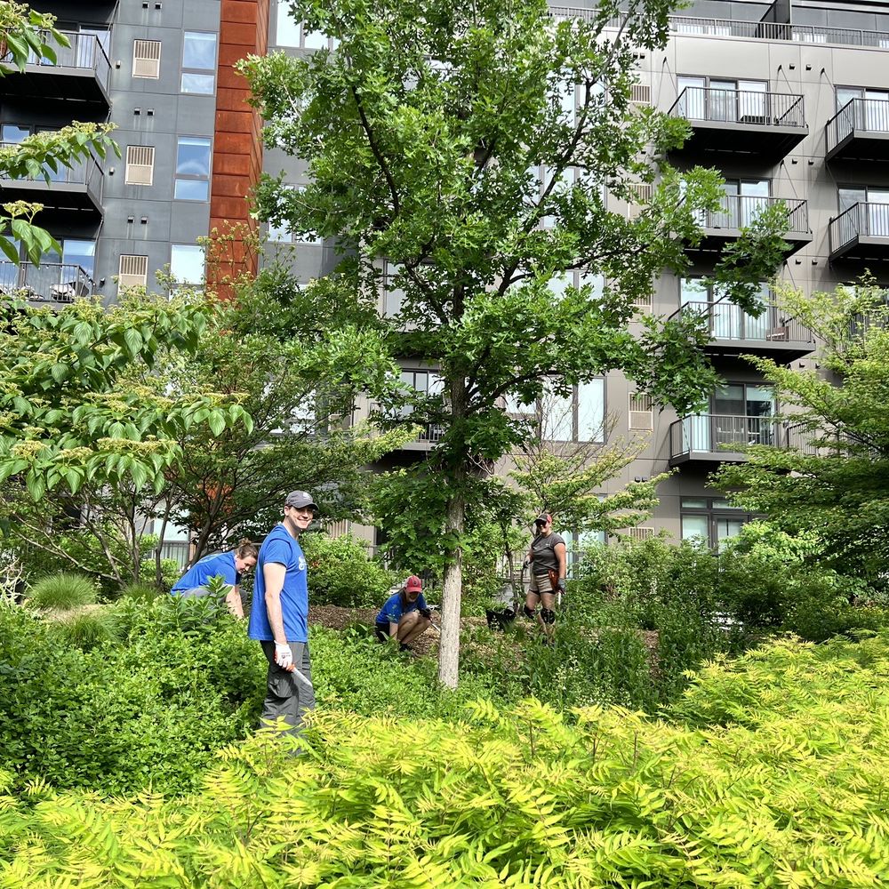 Colher de Brinquedo: O Que Realmente Importa Para Crianças e Colecionadores?, image size:1000x1000