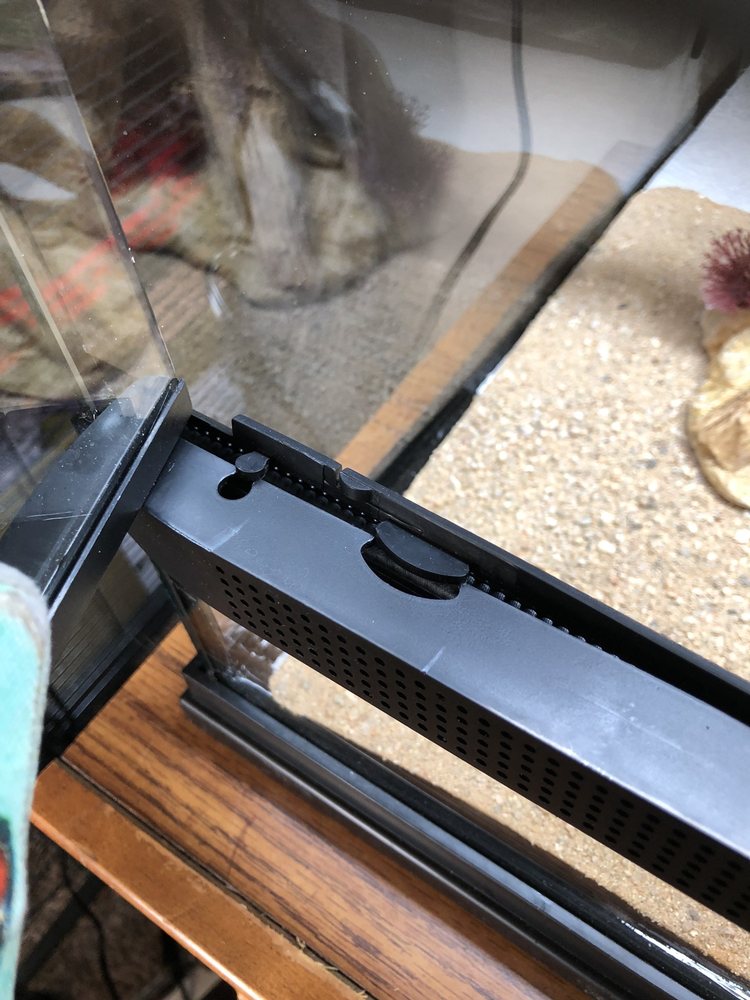 Petco Lebanon New Hampshire at Robert Randolph blog