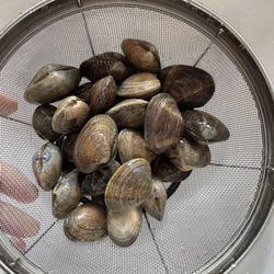 Albertsons - Mantilla clams. Thanks to the person who answered all my questions. Every one was perfect and delicious!!