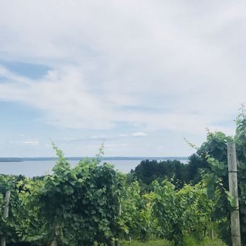 Willow Winery & Vineyard - Wineries Near Me - Suttons Bay, Michigan Willow Winery & Vineyard - Wineries Near Me - Suttons Bay, Michigan