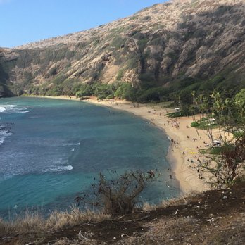 Hawaii Turtle Tours - Tours Near Me - Honolulu, Hawaii