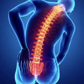 Robert C Spain Jr, DC - Chiropractors Near Me - Perrysburg, Ohio Robert C Spain Jr, DC - Chiropractors Near Me - Perrysburg, Ohio