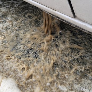 The Carpet Cleaner - You Don't want this in your carpet - Carpet Cleaning Near Me - Schertz, Texas The Carpet Cleaner - You Don't want this in your carpet - Carpet Cleaning Near Me - Schertz, Texas