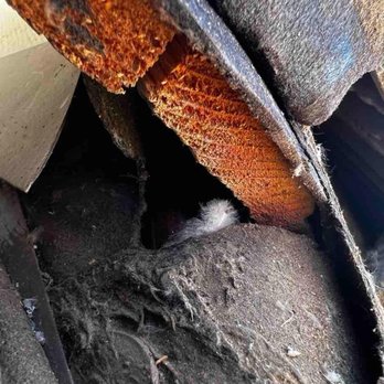 Bryant Pest Management - Pest Control Near Me