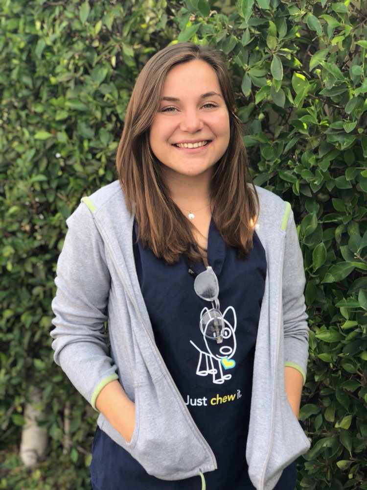 BEST FRIENDS PET HOSPITAL 219 Photos & 136 Reviews UPDATED March 2022 Veterinarians 911 W