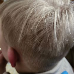 Sharkey's Cuts For Kids