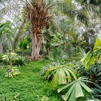 Garfield Park Conservatory - Parks Near Me - Chicago, Illinois
