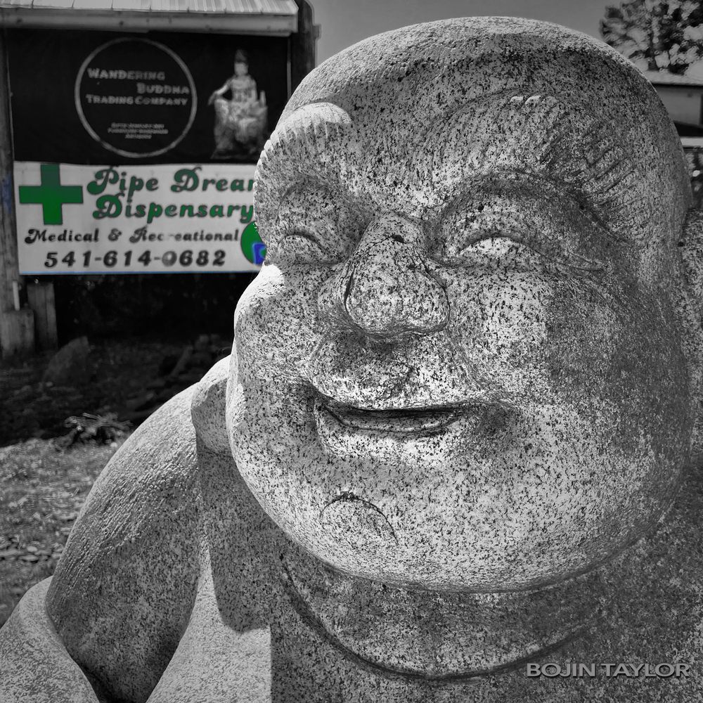 PIPE DREAMS DISPENSARY Updated August 2024 24 Photos & 17 Reviews