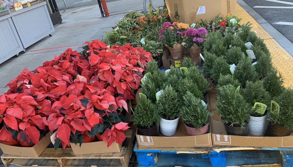 2020 Black Friday Yelp